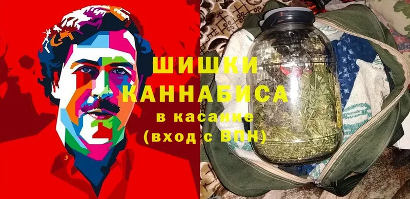 мега маркетплейс  купить  сайты  Карачаевск  Шишки марихуана тримм 